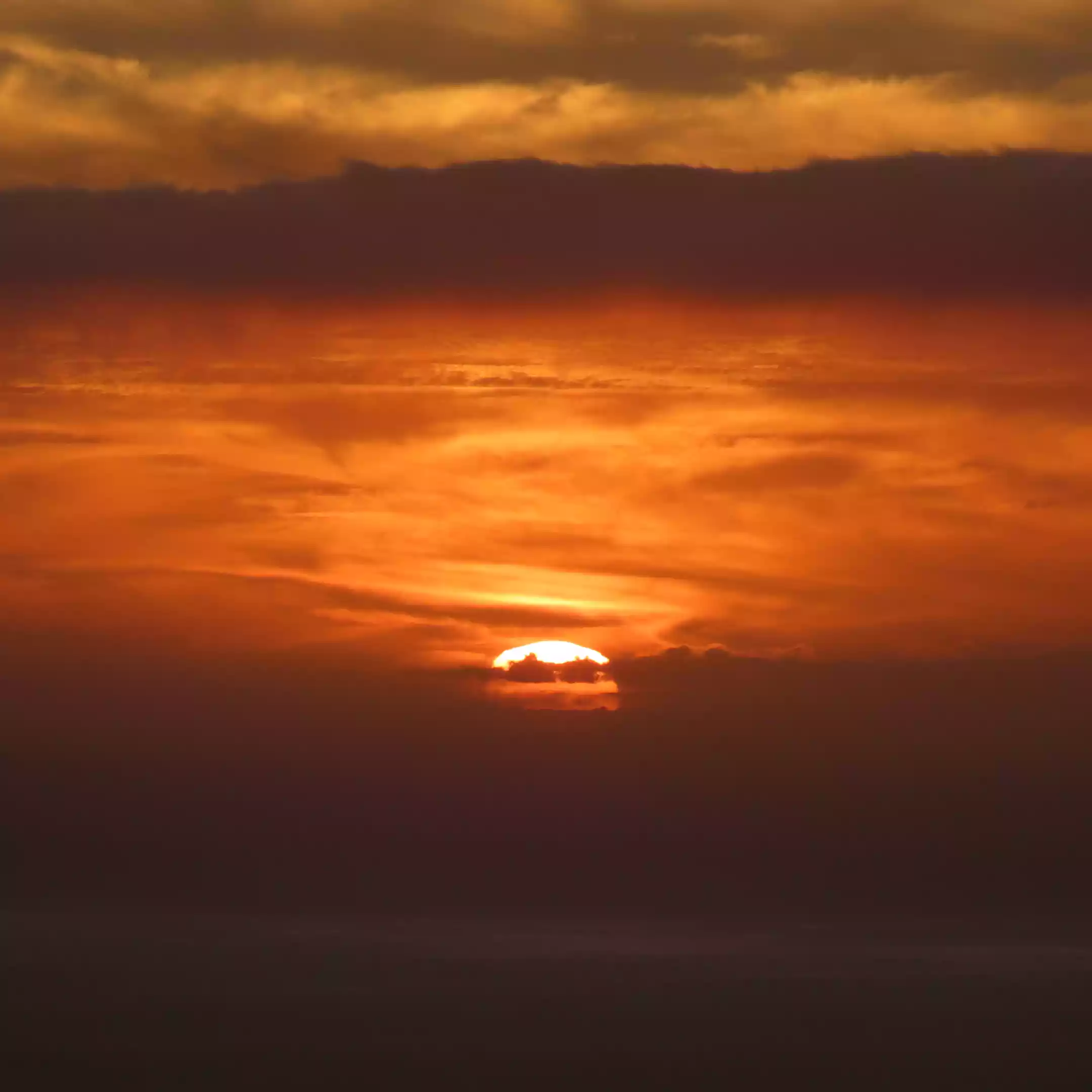 atardecer buggy