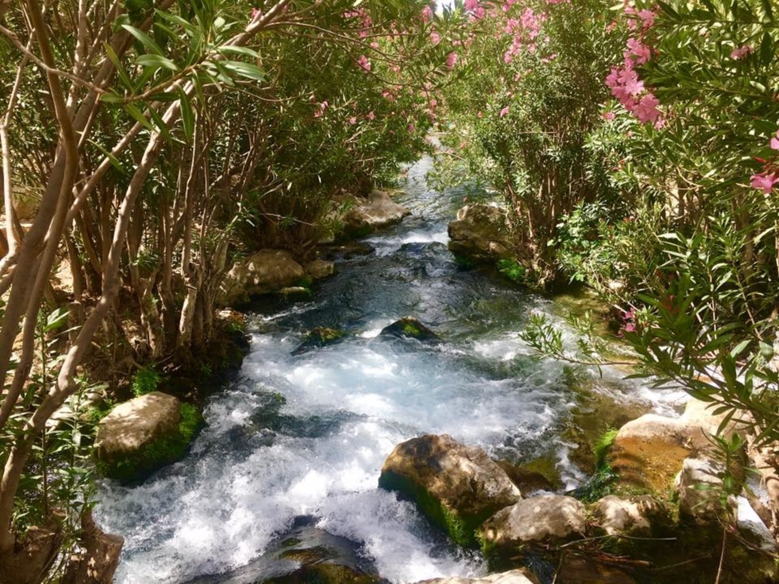 Fuentes del Algar en Costa Blanca con aguas cristalinas