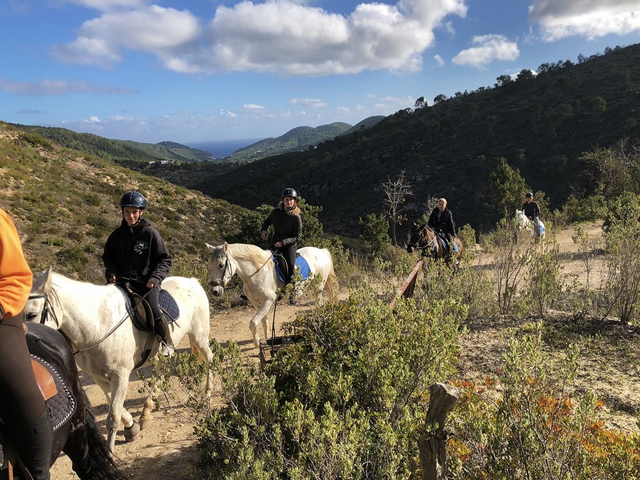 paseo caballo 