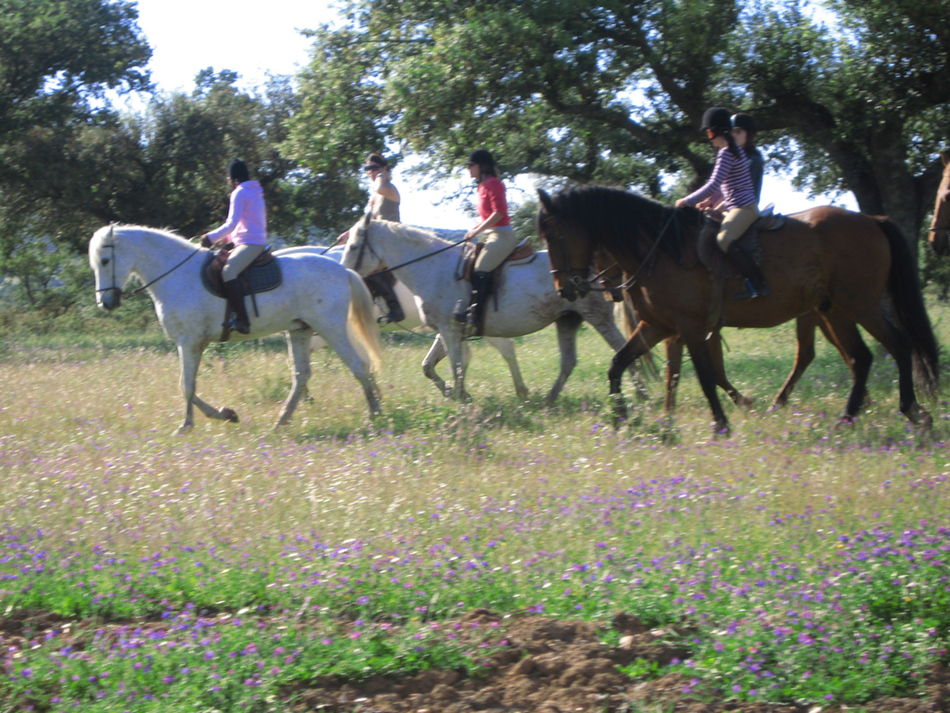 Paseo a caballo por el campo de Cáceres