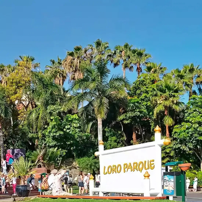 Entrada Loro Parque Entrada Loro Parque Tenerife